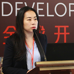 Carrie Wang Fosun Property Holdings' Executive Director of Strategic Research and BP