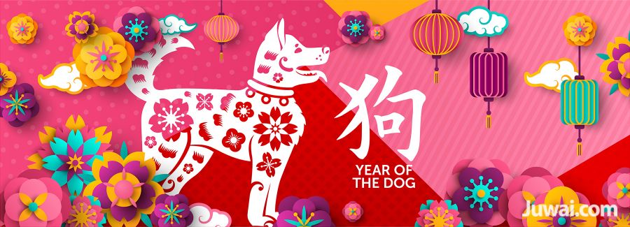 2018 Year of the Dog Infographic