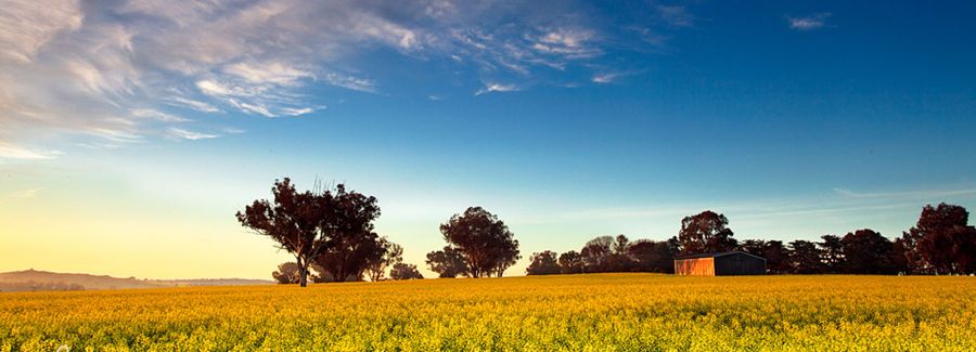 Farmers Sell To Chinese