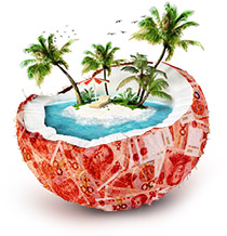 Coconut island