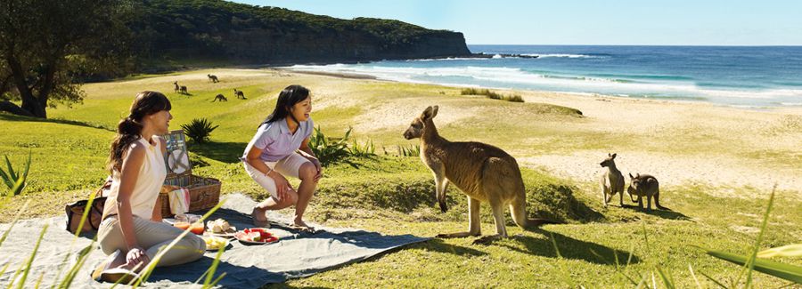 chinese in australia