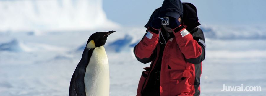 chinese tourist antartica